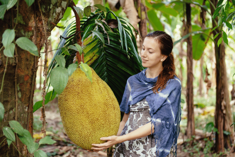 Flour_jackfruit_uvodni fotka